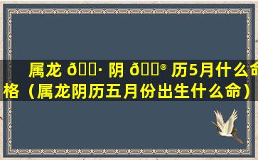 属龙 🌷 阴 💮 历5月什么命格（属龙阴历五月份出生什么命）